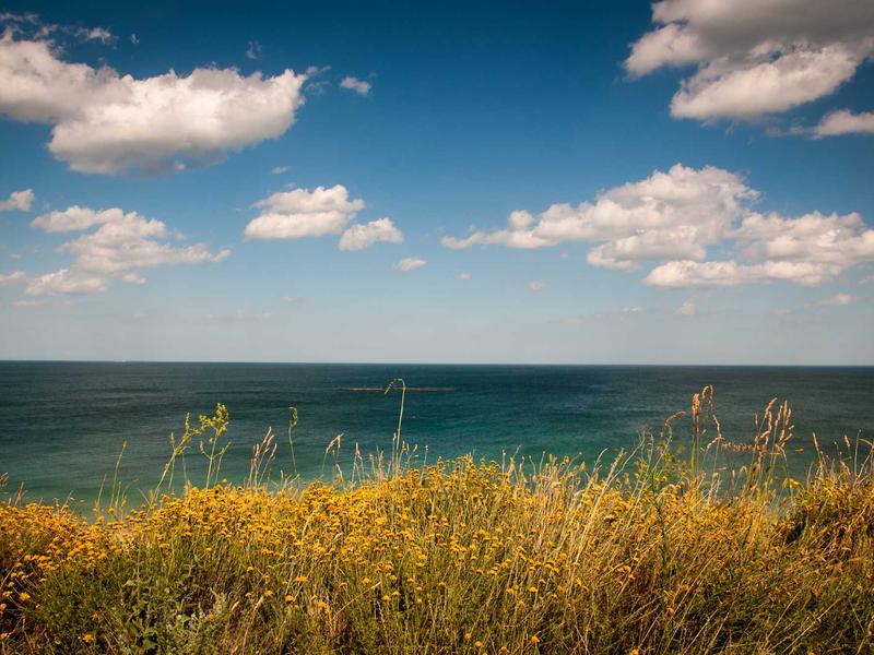 Zol Crain Mev Mar del Plata 2